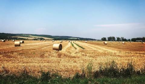 Sale Agrarian and forest land, Agrarian and forest land, Košice-okolie