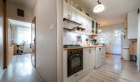 Sale Two bedroom apartment, Two bedroom apartment, Martina Benku, Preš