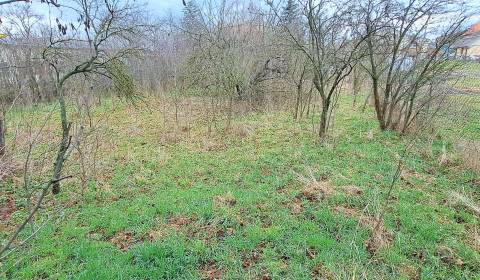 Sale Land – for living, Land – for living, Levice, Slovakia