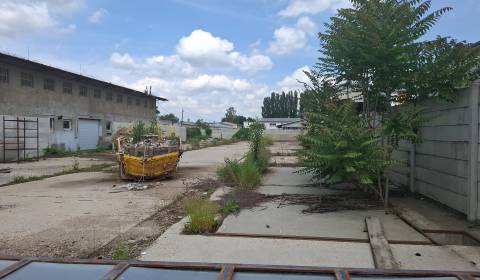 Sale Land plots - commercial, Land plots - commercial, Trnava, Slovaki