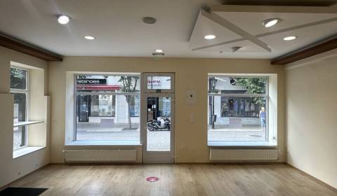 Rent Commercial premises, Commercial premises, Komárno, Slovakia