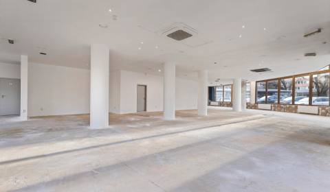 Sale Commercial premises, Commercial premises, Záhradnícka, Bratislava
