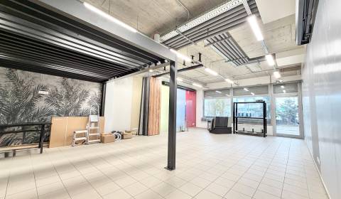 Modern Commercial Space Near Dubeň Shopping Center in Žilina