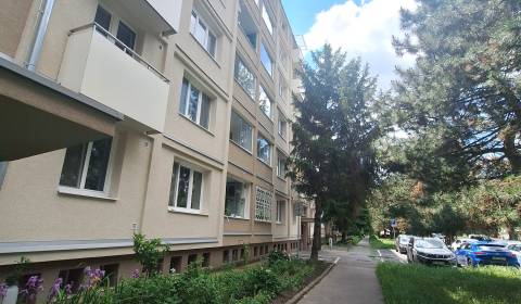 Rent One bedroom apartment, One bedroom apartment, Sibírska, Bratislav