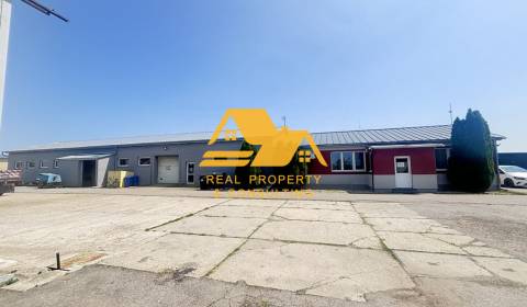 Sale Production premises, Production premises, Zemné, Nové Zámky, Slov