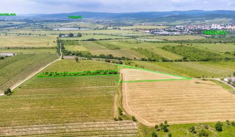 Sale Recreational land, Recreational land, Pezinok, Slovakia