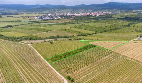 Sale Recreational land, Recreational land, Pezinok, Slovakia