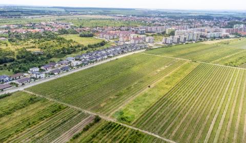 Sale Recreational land, Recreational land, Panský chodník, Pezinok, Sl