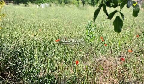 Sale Land – for living, Levice, Slovakia