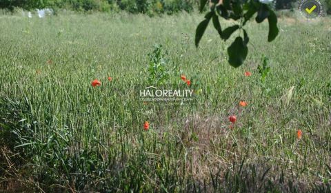 Sale Land – for living, Levice, Slovakia