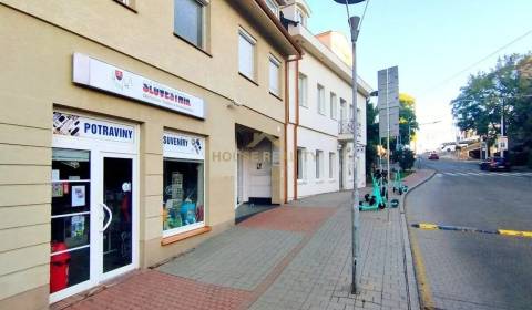 Sale Commercial premises, Commercial premises, Zámocká, Bratislava - S