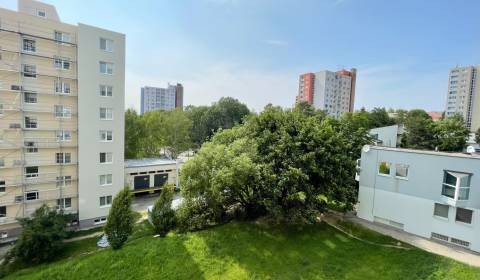 Sale One bedroom apartment, One bedroom apartment, Kyjevská, Trenčín,