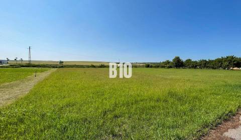 Sale Land – for living, Land – for living, Nitra, Slovakia