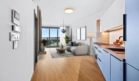 Sale One bedroom apartment, One bedroom apartment, Pribinova, Bratisla