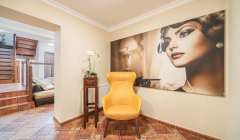 Sale Building, Building, Ľudové námestie, Bratislava - Nové Mesto, Slo