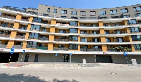 Rent One bedroom apartment, One bedroom apartment, Zuzany Chalupovej,