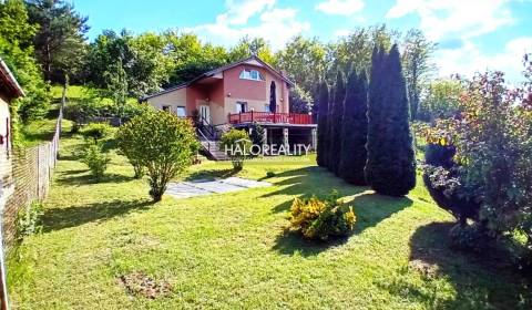 Sale Family house, Lučenec, Slovakia