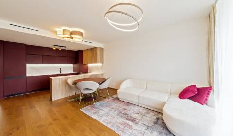 Exclusive, sunny 3bdr apt 98 m2, with loggia, 2x parking, VYDRICA