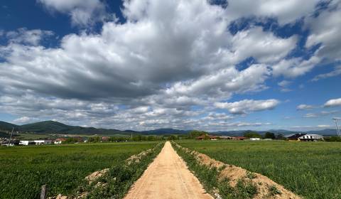 Sale Land – for living, Land – for living, Trenčín, Slovakia
