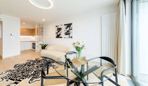 Gorgeous, design 1bdr apt 58m2, castle view, EUROVEA TOWER