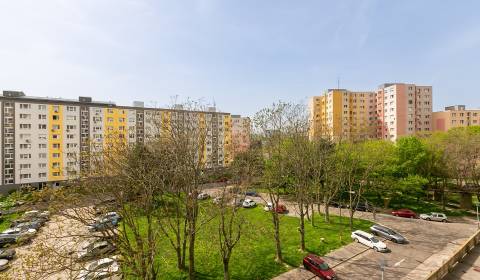 Searching for Studio, Studio, Blagoevova, Bratislava - Petržalka, Slov