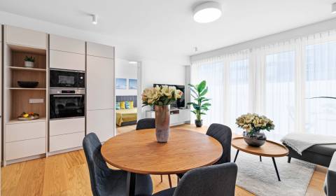 Sale One bedroom apartment, One bedroom apartment, Krasovského, Bratis