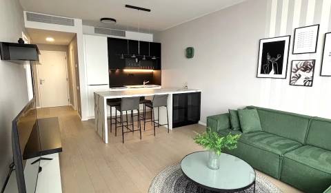 Searching for One bedroom apartment, One bedroom apartment, Čuleňova, 