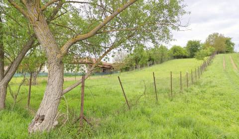 Sale Land – for living, Land – for living, Jarková, Prešov, Slovakia