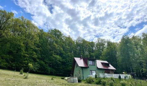 Sale Cottage, Cottage, Trenčín, Slovakia