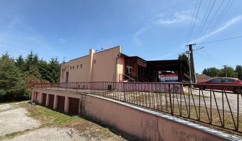 Sale Commercial premises, Commercial premises, Topoľčany, Slovakia