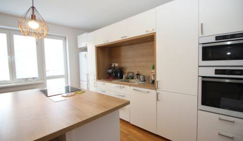 Rent One bedroom apartment, One bedroom apartment, Medená, Bratislava