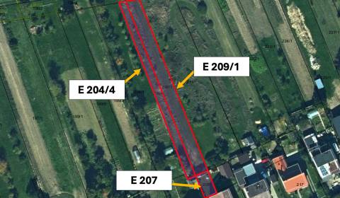 Sale Agrarian and forest land, Agrarian and forest land, Vranov nad To