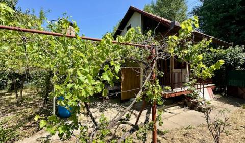 Sale Cottage, Cottage, Kvitnúci Ostrov, Nové Zámky, Slovakia