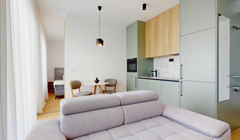 Modern and bright 1 bedroom apartment in project PRI MÝTE