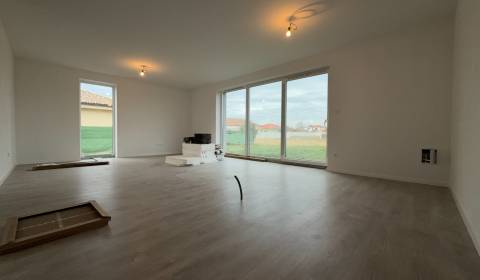 Sale Family house, Family house, Bálinta Balassiho, Dunajská Streda, S