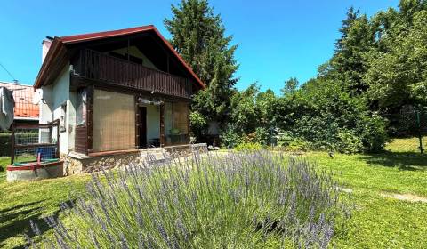 Sale Cottage, Cottage, Vývrat, Malacky, Slovakia