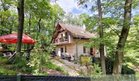 Sale Cottage, Cottage, Pezinok, Slovakia