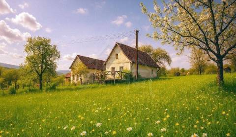 Sale Cottage, Cottage, Detva, Slovakia
