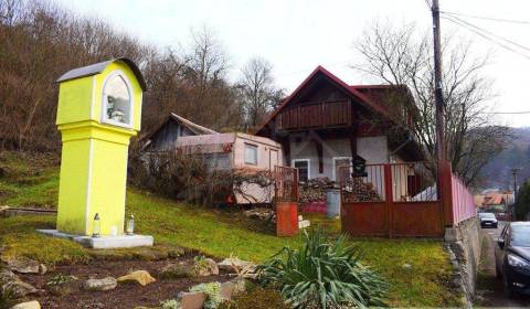 Sale Family house, Family house, Žarnovica, Slovakia