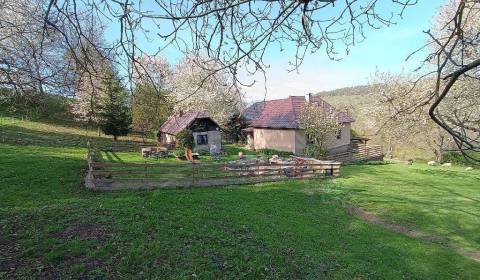 Sale Family house, Family house, Lučenec, Slovakia