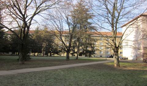 Searching for Studio, Studio, Tr.SNP, Banská Bystrica, Slovakia