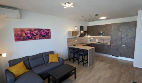 Pleasant, sunny 1bdr apt 50m2, with parking and A/C, GALVANIHO DVORY