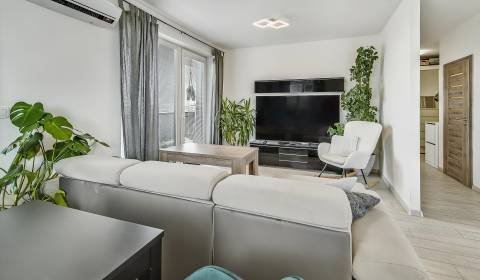 Sale One bedroom apartment, One bedroom apartment, Ulica pri Včeláriko
