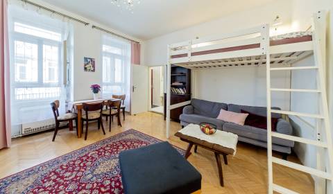 Old town, cozy 1bdr apt 50 m2, petfriendly, possible short term lease