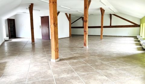 Office Space in the Heart of Žilina with Parking