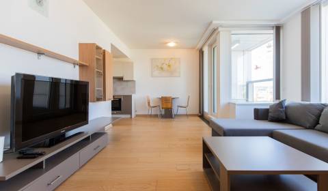 Rent One bedroom apartment, One bedroom apartment, Landererova, Bratis