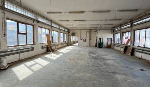 Rent Storehouses and Workshops, Storehouses and Workshops, Žilina, Slo
