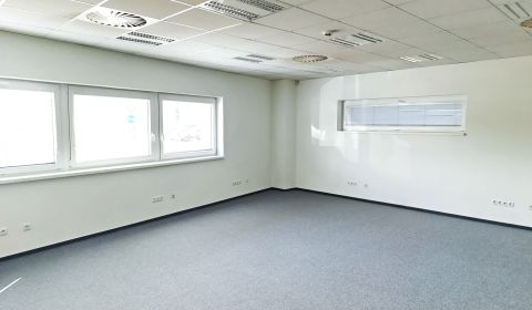 Office for rent