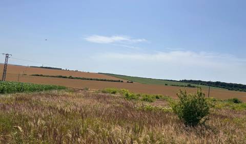 Sale Land – for living, Land – for living, Nitra, Slovakia