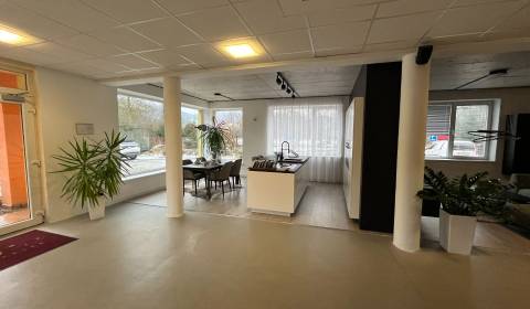 Rent Commercial premises, Commercial premises, Žilina, Slovakia